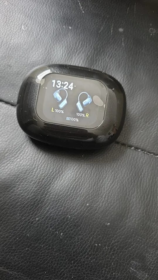 Customer photo review of Lingua Pods