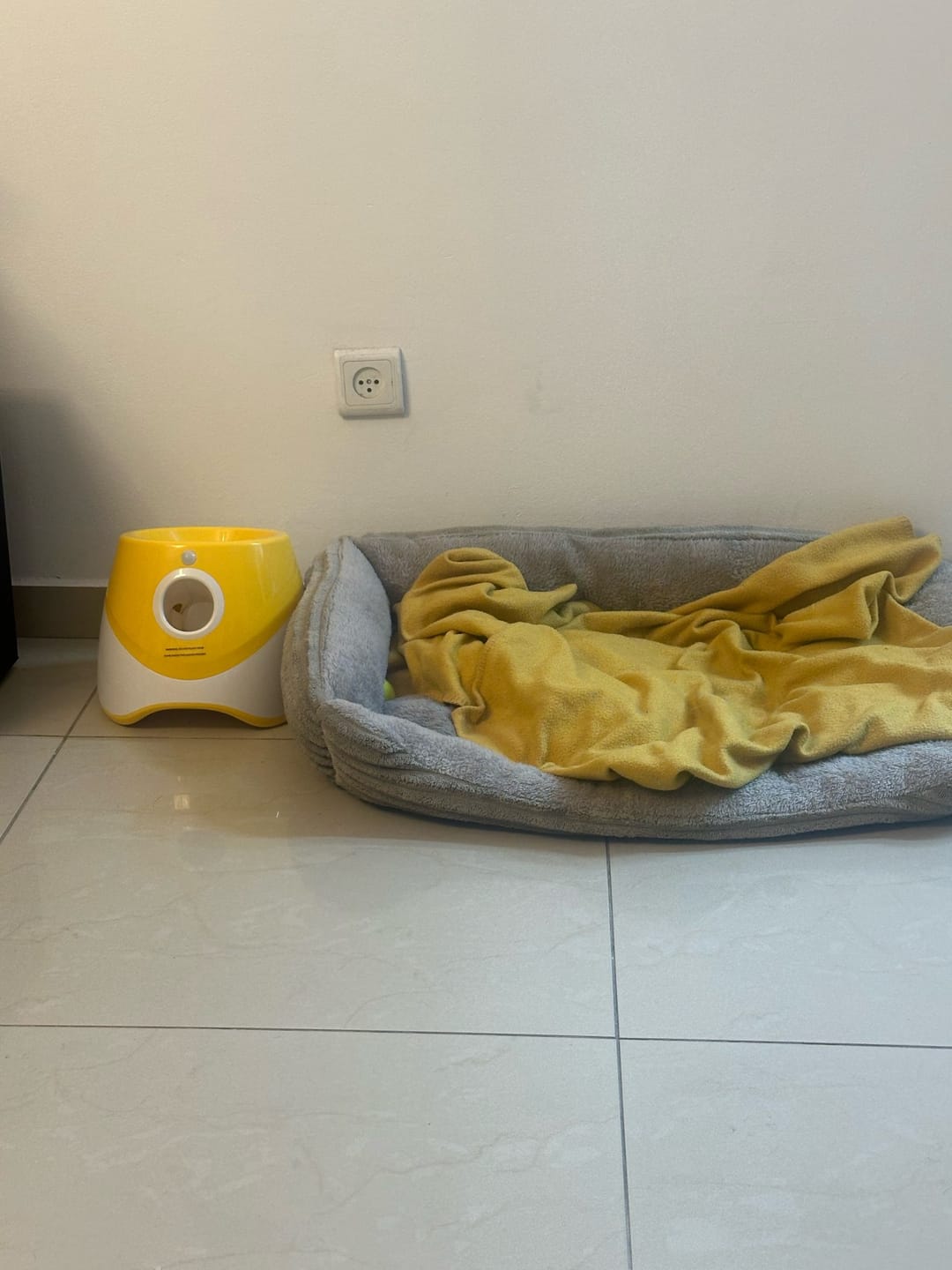Customer photo review of Jirah Automatic Dog Ball Launcher™