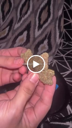 Customer video review of Biscotti Flower
