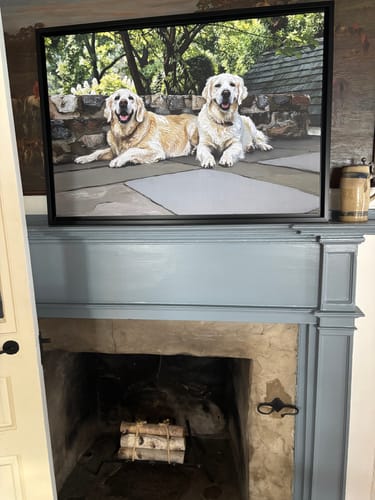 Customer photo review of Custom Pet Portrait - Modern Style