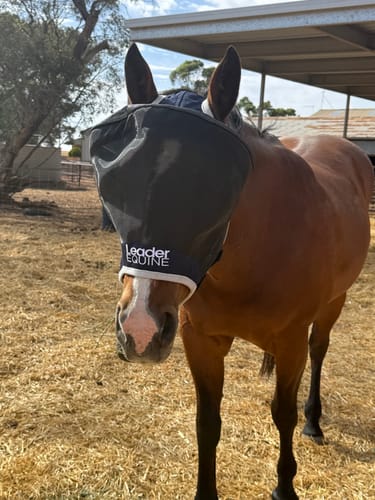 Customer photo review of LE Outback Fly Mask Original