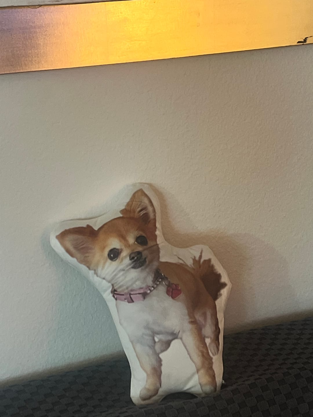 Customer photo review of Pet Pillow Looks Like Your Pet, Customize Dog Shaped Pillow with Pet Photo - ThePetPillow
