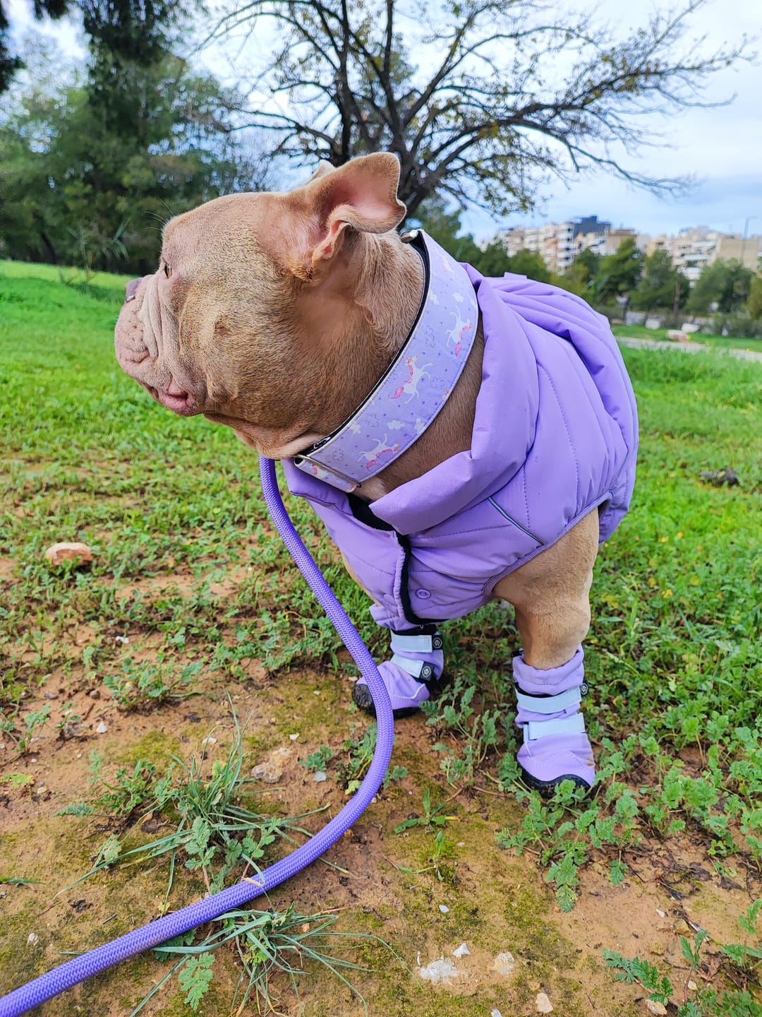 Customer photo review of WarmShield Water-Resistant Jacket - Lilac