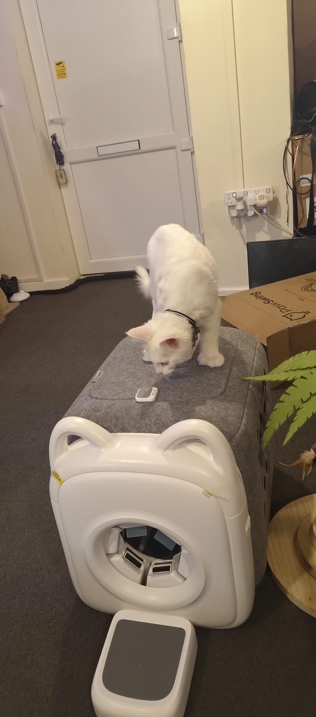 Customer photo review of 2025 Best Auto-Groomer PawSwing AutoComb Pro