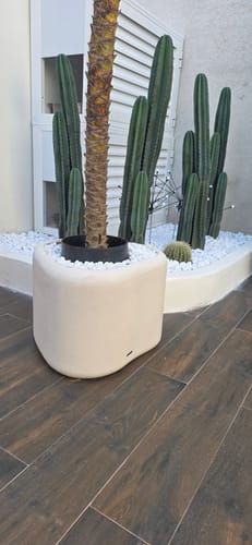 Customer's modern beige planter box holding a palm tree on an outdoor patio with cactuses in the background.