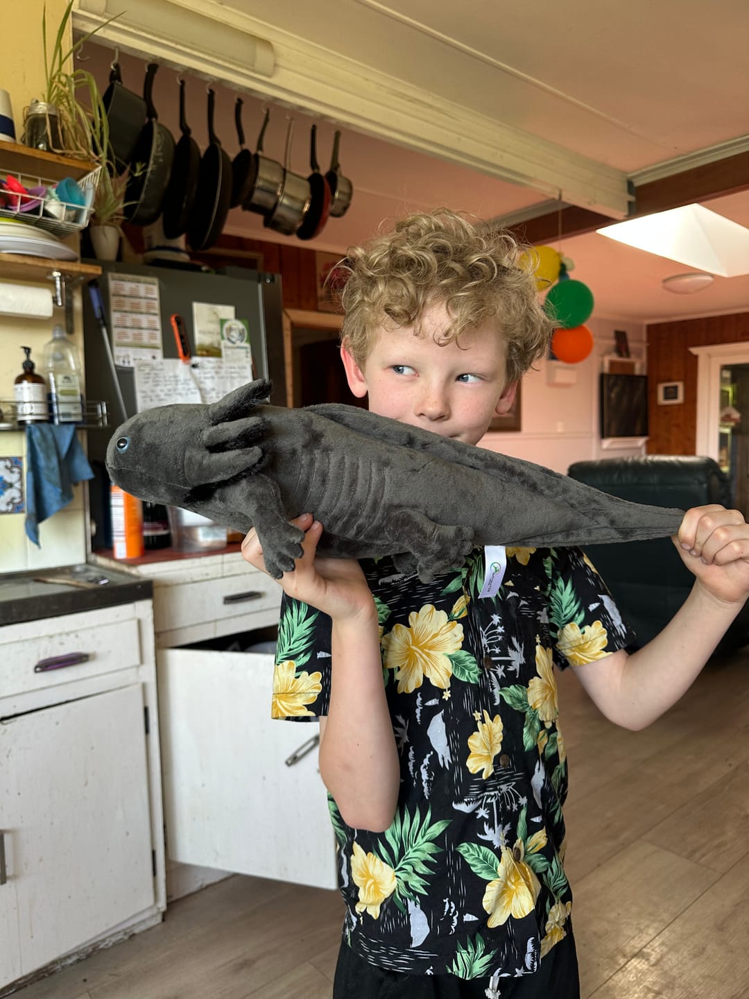Customer photo review of Black Axolotl Soft Stuffed Plush Toy