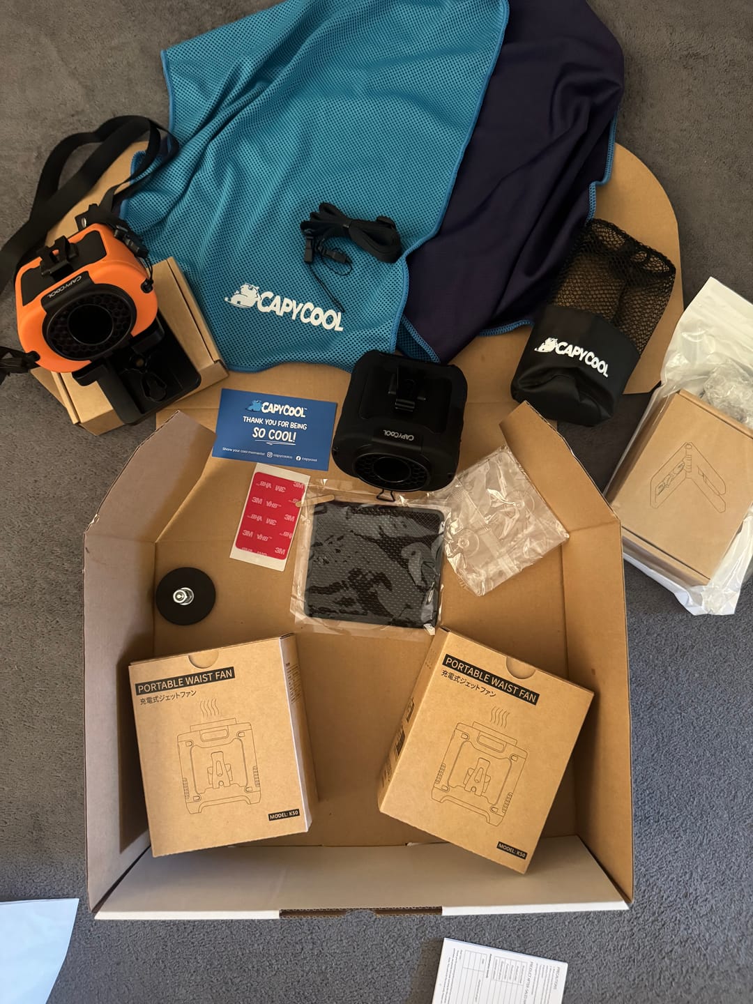 CapyCool customer review from Sophie D.