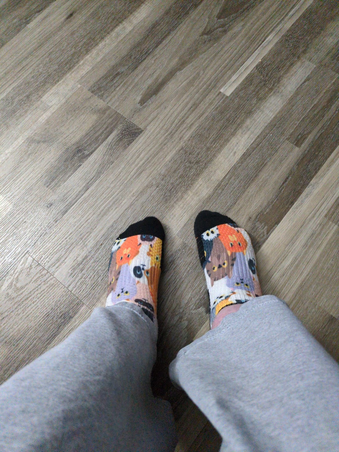 Customer photo review of Pet Garden Ankle Compression Socks 5-Pack Bundle