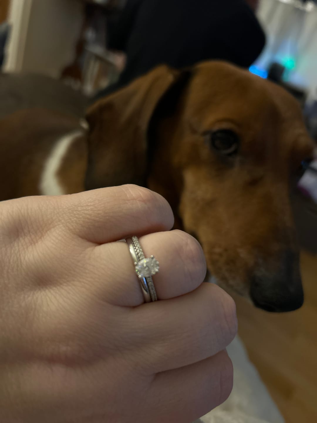 Customer photo review of White Gold 1ct Oval Moissanite Slimline Dazzle Ring