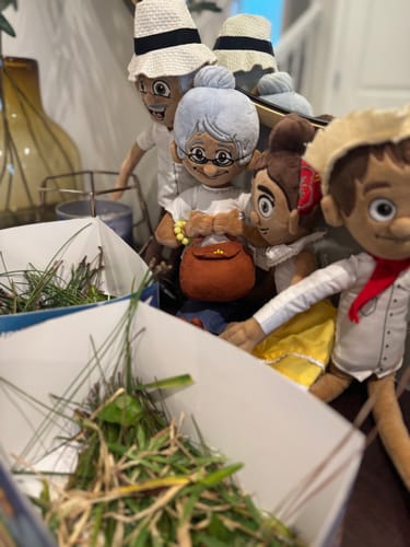 Customer photo review of Tito y los Abuelos