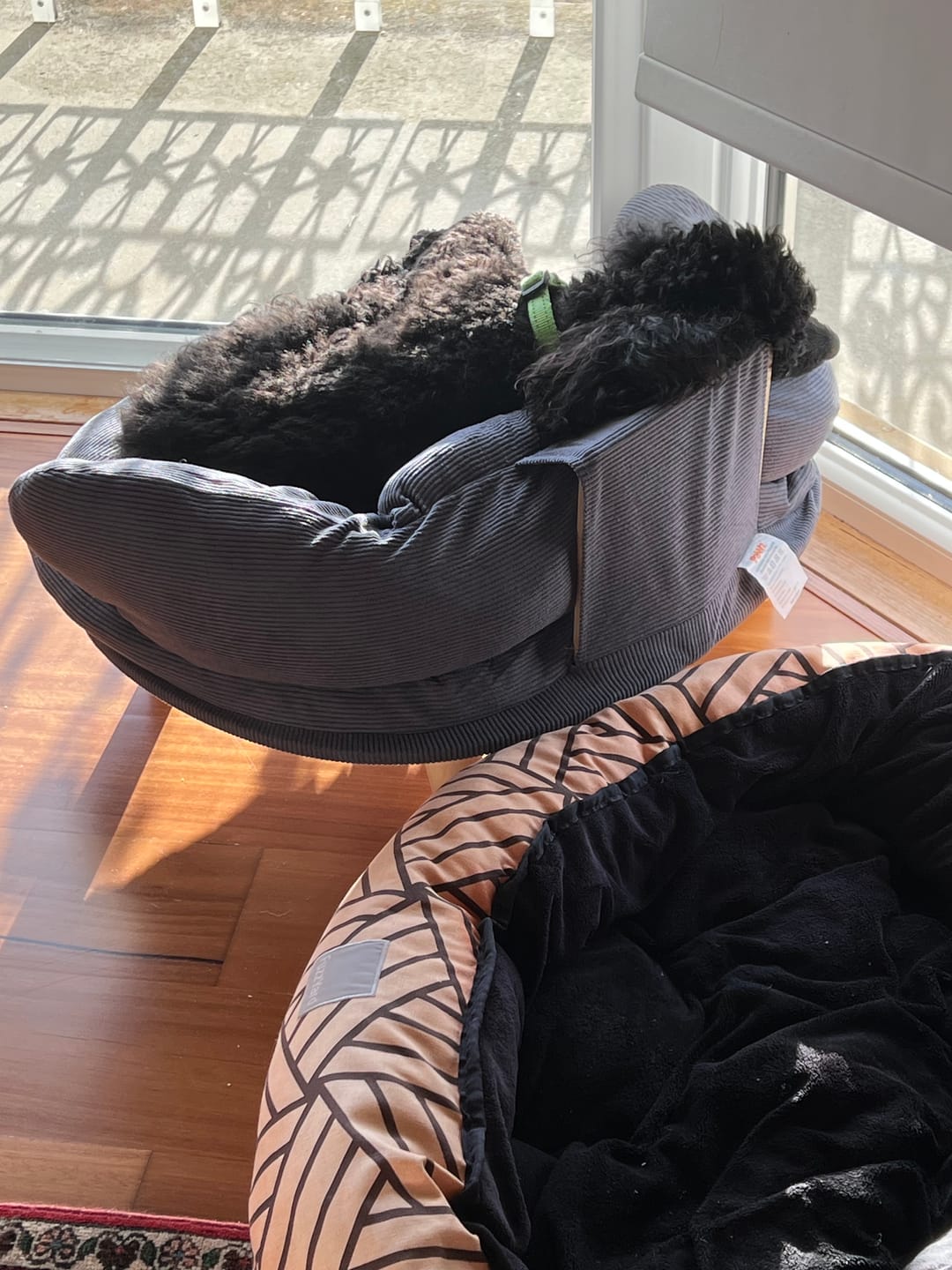 Customer photo review of CloudNest Elevated Pet Sofa Bed