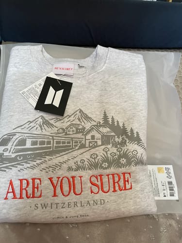 Customer's new 'ARE YOU SURE?!' sweatshirt in light grey, showing the Switzerland graphic and red embroidered text.