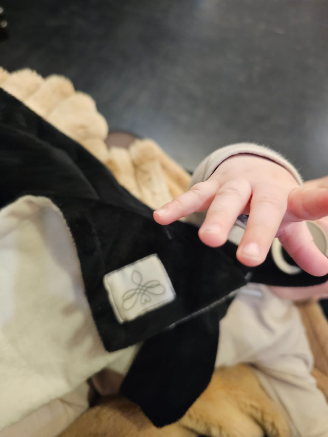 Customer photo review of Loviebee 2.0 ~ Black/Ivory