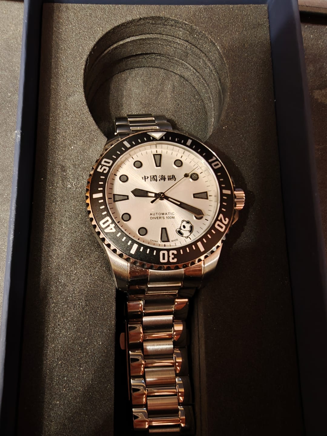 Customer photo review of Ocean Series 100m Waterproof Rolling Panda Diver Watch 44.5mm