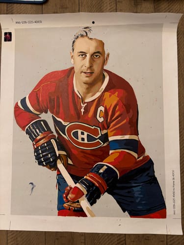 Customer photo review of Custom Paint by Numbers