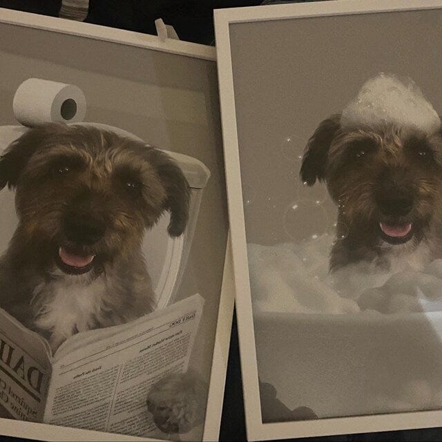 Customer photo review of Dog Reading Newspaper on toilet