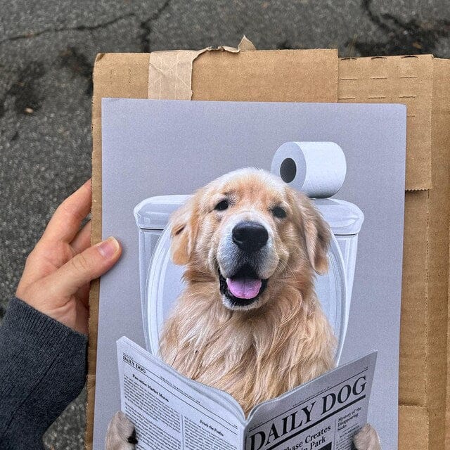 Customer photo review of Dog Reading Newspaper on toilet