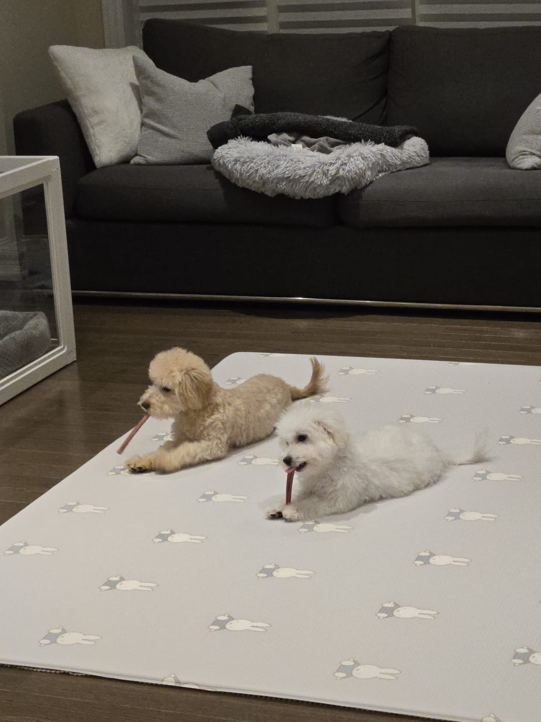Customer photo review of Small Bully Stick Ring
