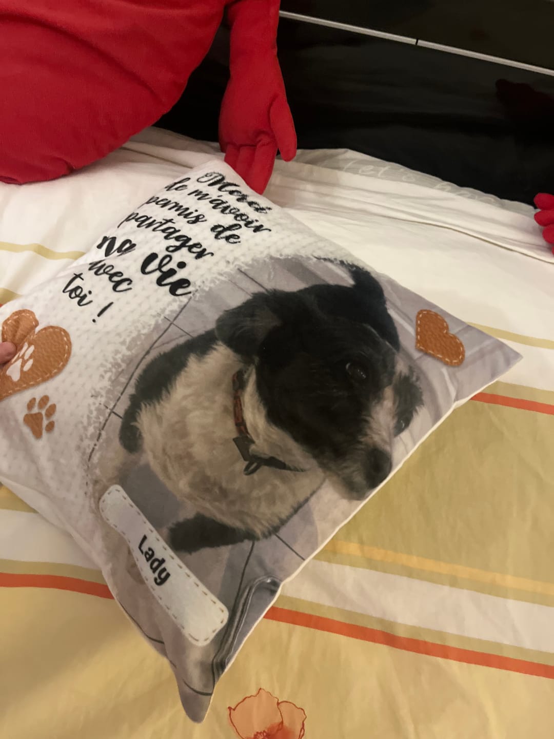 Customer photo review of Merci - Coussin personnalisé