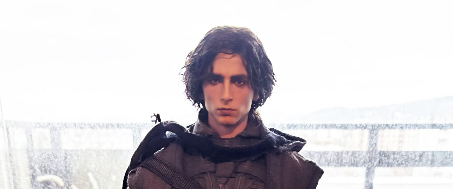 Customer photo review of Paul Atreides 1/6 Collectible Figure  - Standard & Deluxe Version