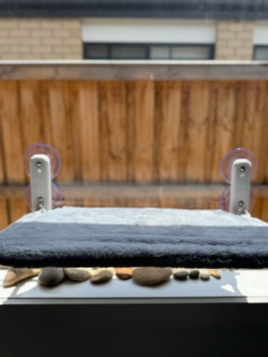 Customer photo review of Foldable Cat Window Hammock with Strong Suction Cups
