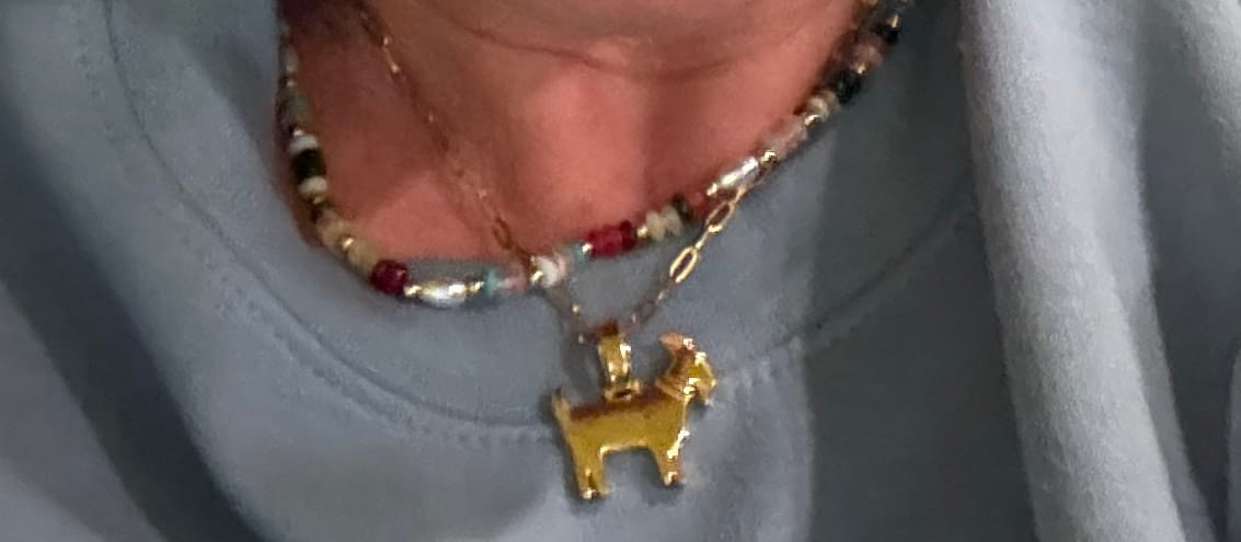 Customer photo review of GOAT