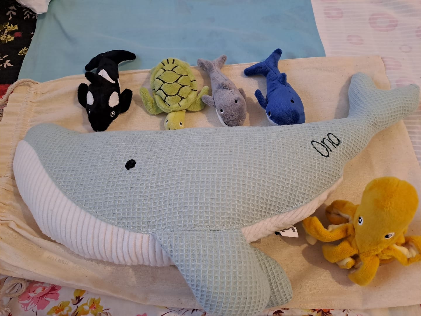 Customer photo review of Peluche Ballena Susi - MENTA