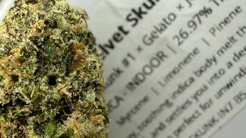 Customer photo review of Velvet Skunk