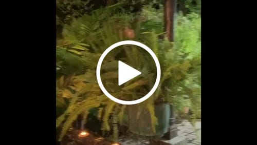 Customer video review of 🎁 Pack Reacción Inolvidable – Añádelo por solo +24.90 € - ⭐ Más vendido