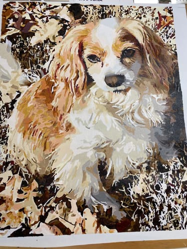 Customer photo review of Custom Paint By Numbers Kit