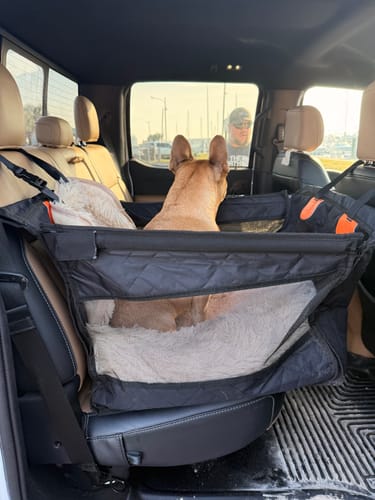 Customer photo review of RuffRover - Single Back Seat Extender
