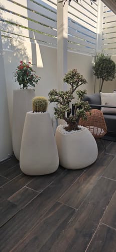 Customer's set of three beige fiberglass planter boxes in various shapes on a dark wood patio, each holding a different plant.