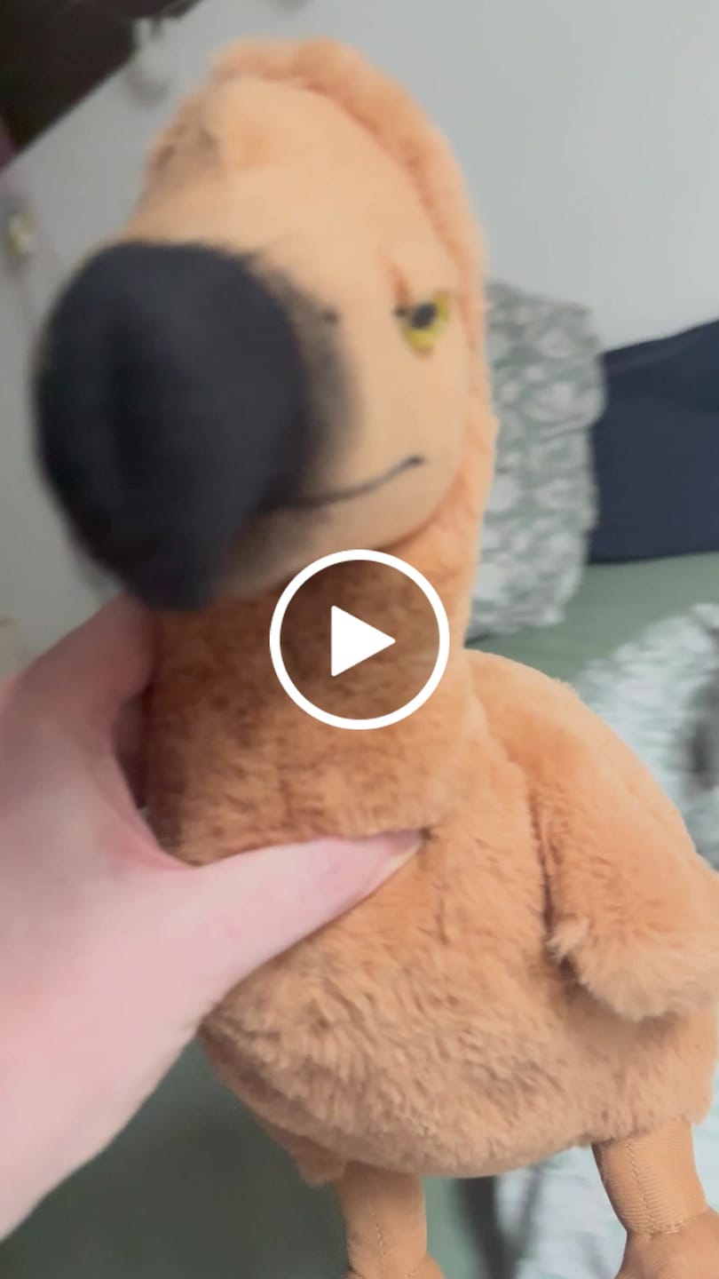Customer video review of Dodo Bird Soft Stuffed Plush Toy