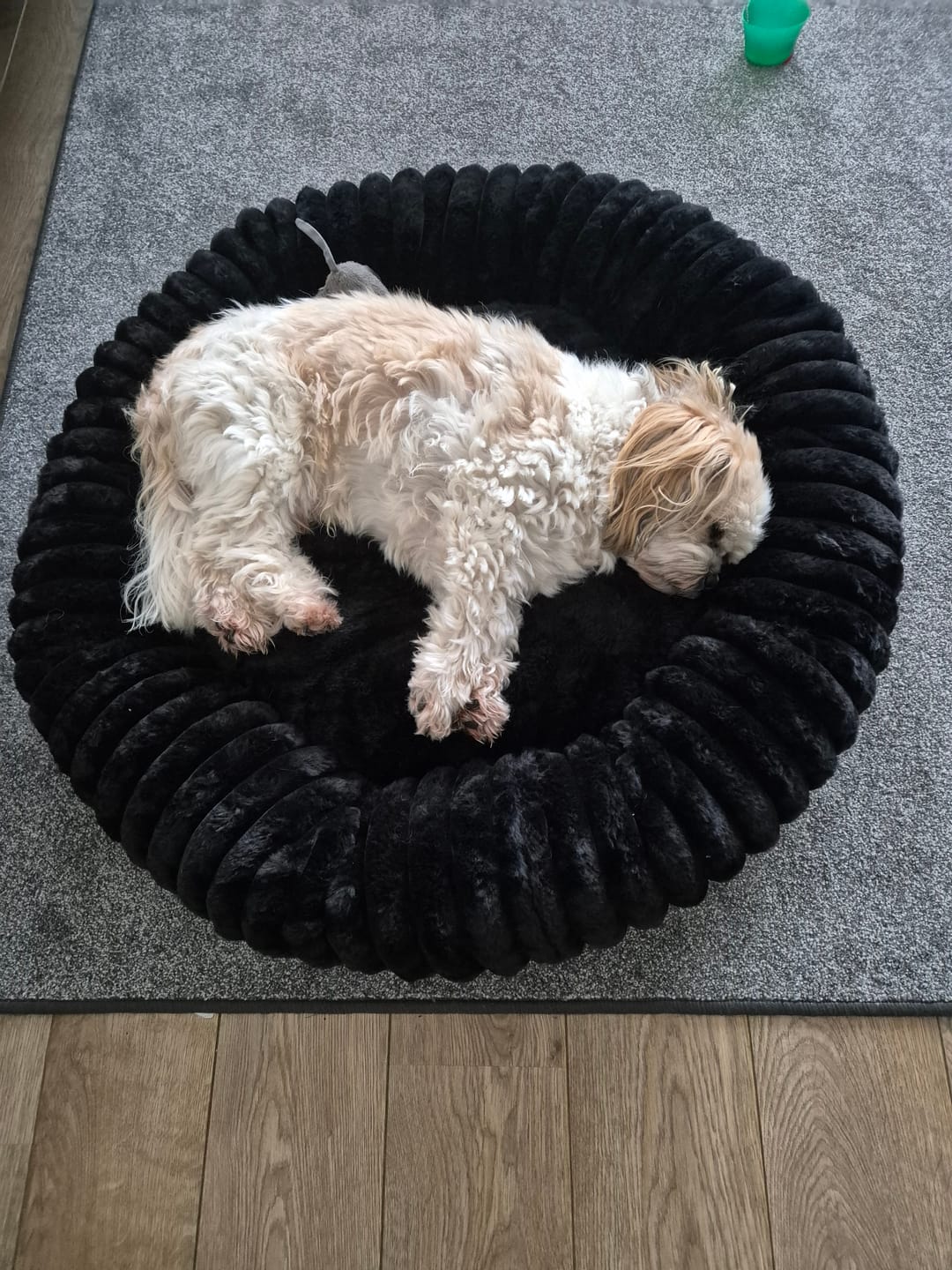 Customer photo review of Pet Perfect Hoes (ZONDER VULLING) voor Orthopedische Donutmand - ZONDER VULLING