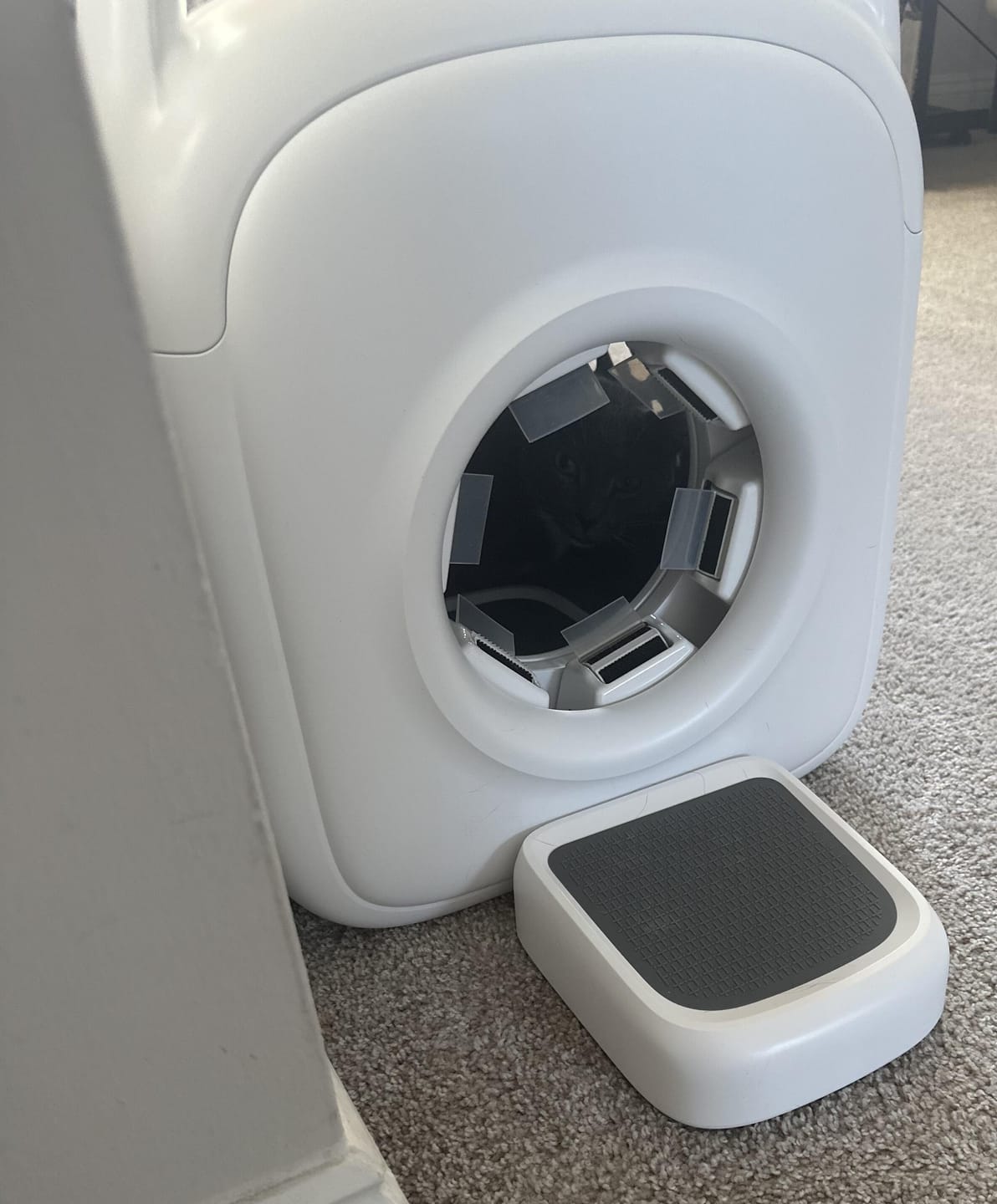 Customer photo review of 2025 Best Auto-Groomer PawSwing AutoComb Pro