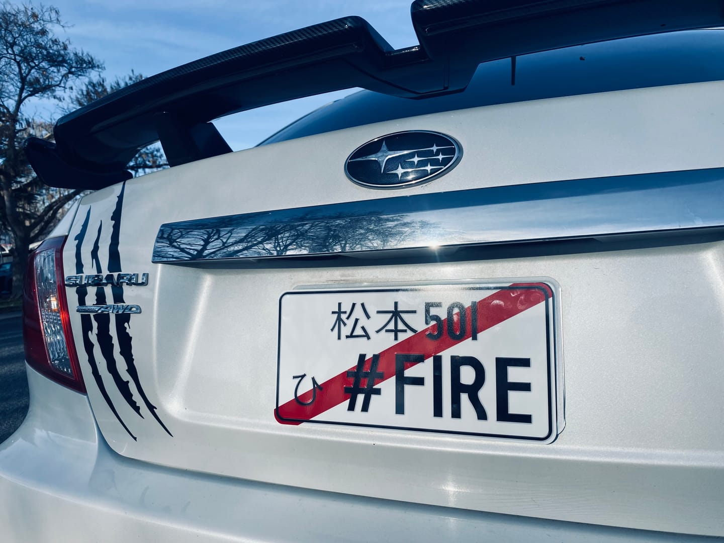Customer photo review of Custom Japanese License Plate - Vanity & Magnetic Cover