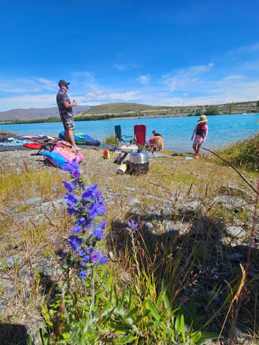 Customer photo review of COBB Pizza Stone