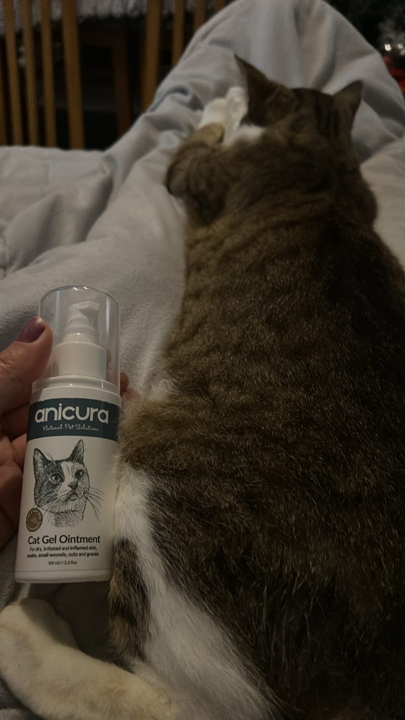 Customer photo review of Cat Gel