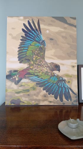 Customer photo review of Kea