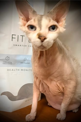 Customer photo review of 3 Month Supply - 3 Cat