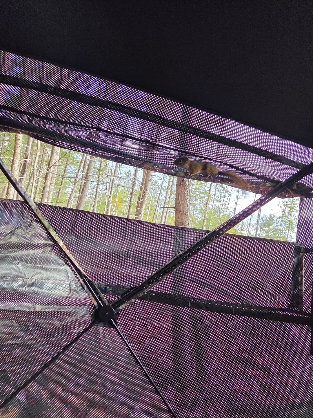 Customer photo review of Vis Series See Through Hunting Blind, Pop Up Ground Deer Blind