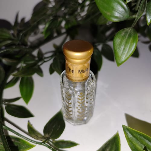Customer photo review of The Male