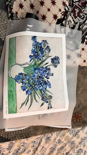 Customer photo review of Vincent Van Gogh - Irises (1890) Famous Paintings