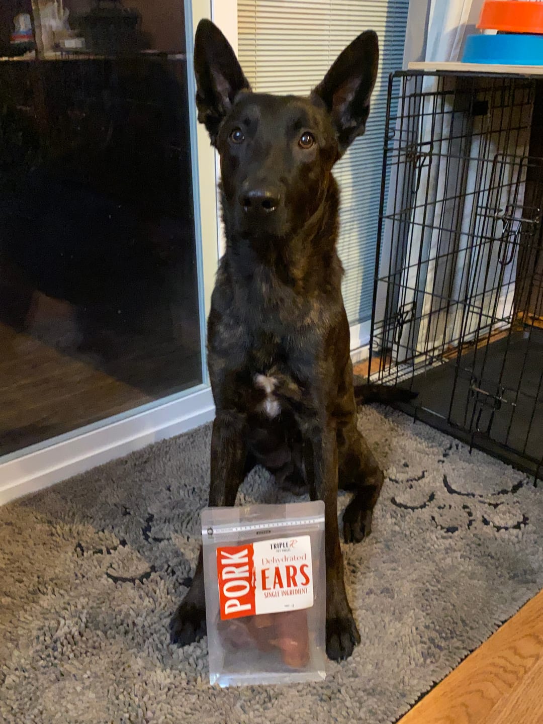 Customer photo review of Pig Ears