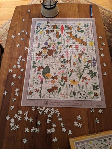 Customer photo review of 1000 Piece Custom Puzzle | Personalized Custom 1000 Piece Puzzle