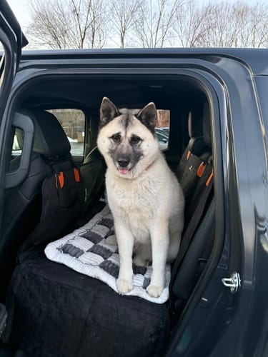 Customer photo review of RuffRover 2.0™ - Hard Bottom Back Seat Extender + (FREE Dog Bed)