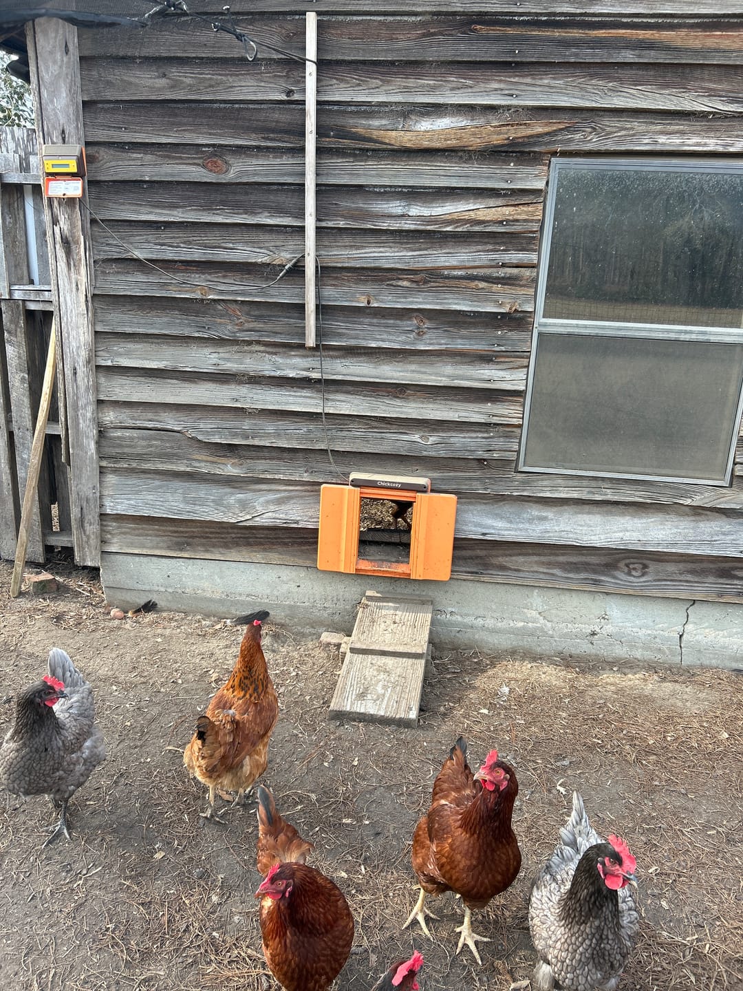 Customer photo review of Solar Automatic Chicken Coop Door