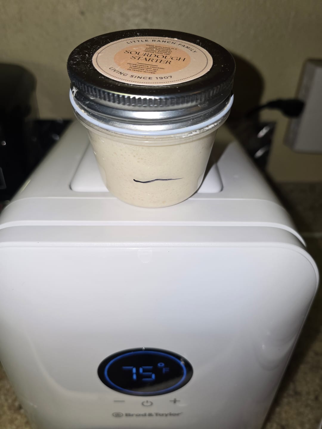 Customer photo review of Sourdough Recipe Bundle: A Collection Of 5 Our Most Viral & Requested Recipes!