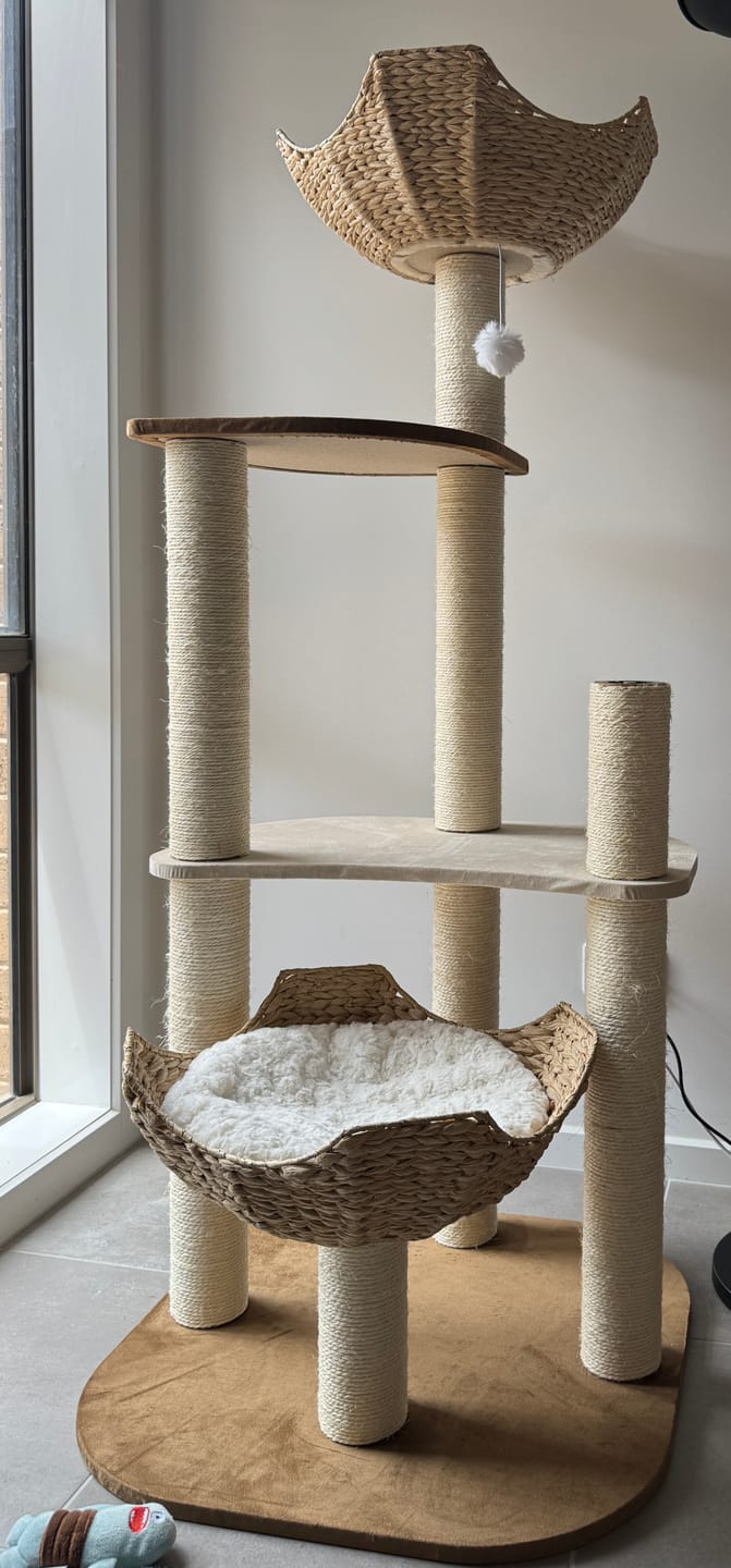 Customer photo review of Woven Rattan Multi-Level Cat Tree (K903) – 6 Tiers with Full Sisal Posts & Multi-Beds