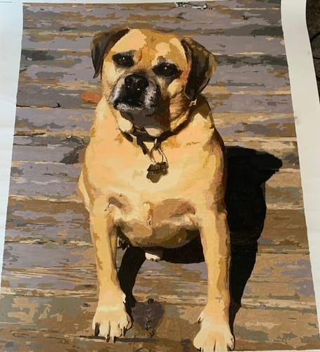 Customer photo review of Custom Pet Paint By Numbers